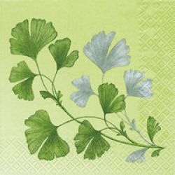 Ginkgo grn